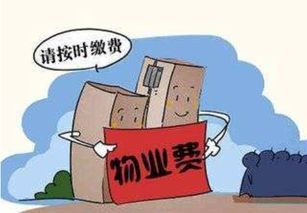 未收樓也要交物業管理費嗎